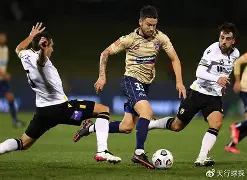 开云体育app-布莱顿vs纽卡斯尔